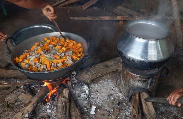 Biomass Cookstove Project in Meghalaya carbon project preview