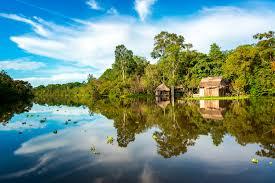 Ecomapua Amazon REDD Project carbon project preview