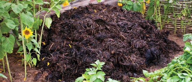 Composting of organic waste project in Guangxi carbon project preview
