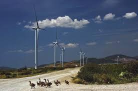 Düzova Wind Power Project, Turkey carbon project preview
